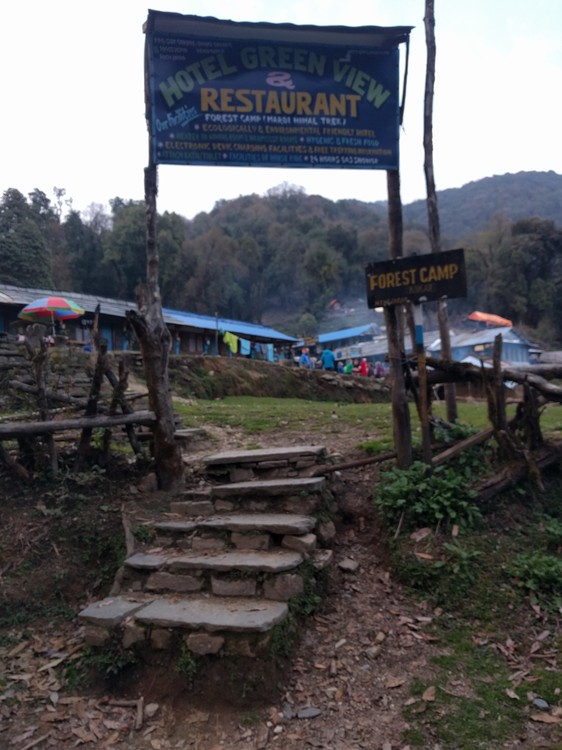 The entrance to forest camp